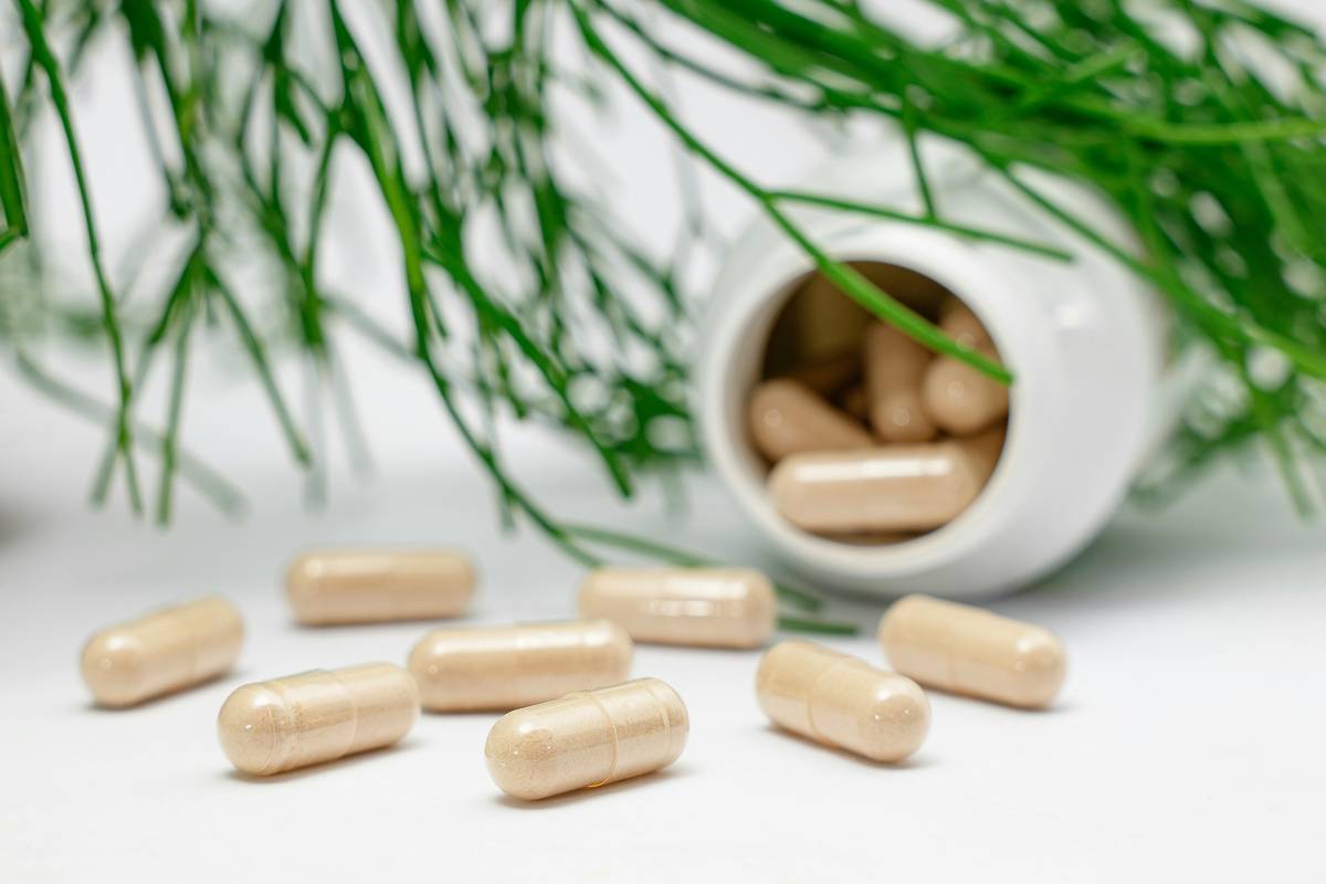 Gut Health and Probiotics: 7 Proven Tips to Avoid Costly Mistakes